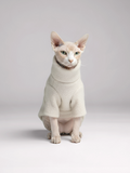 Ivory Bouclé Sphynx Cat Sweater