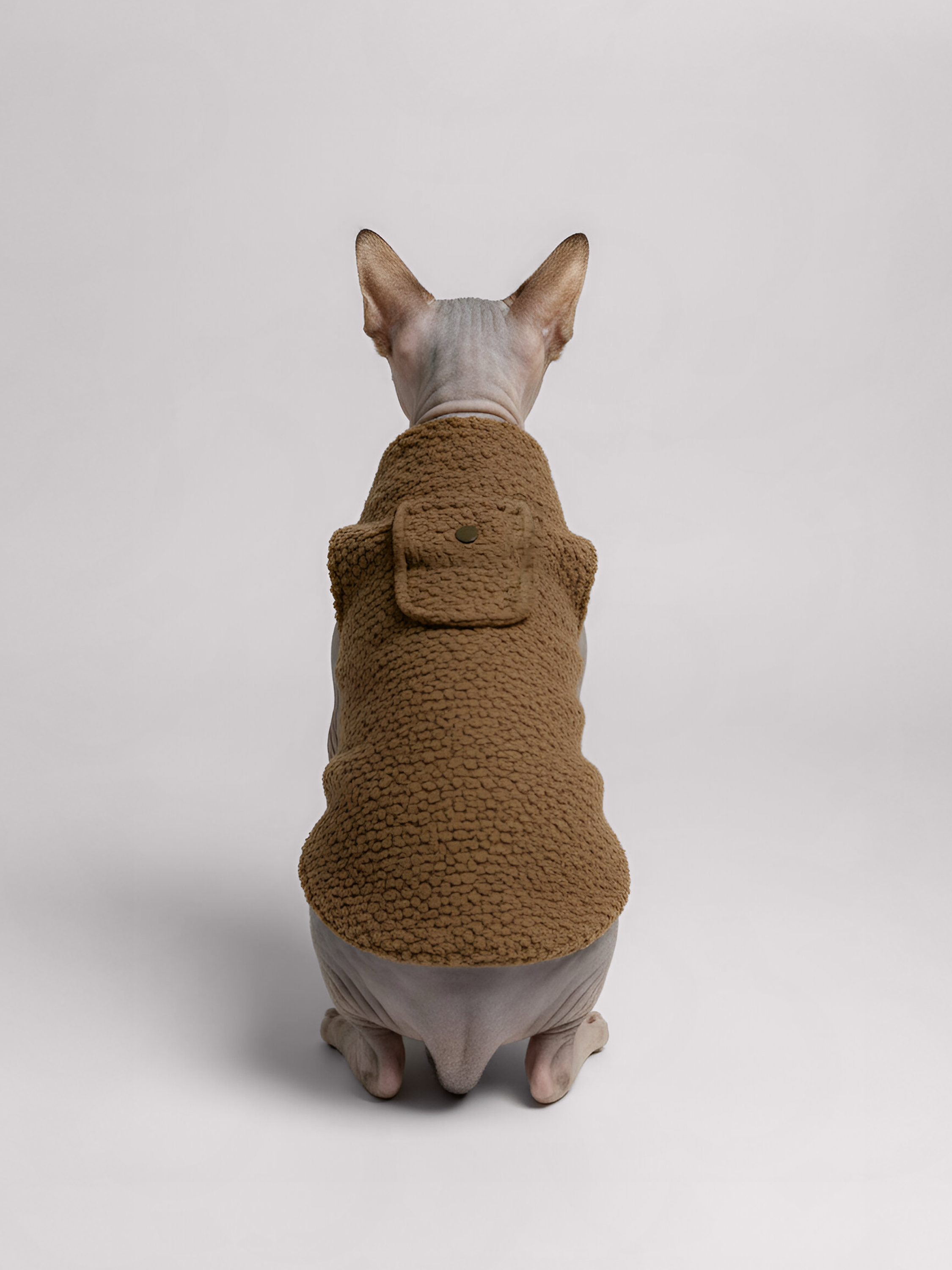 Sphynx Cat Bouclé Knit Top