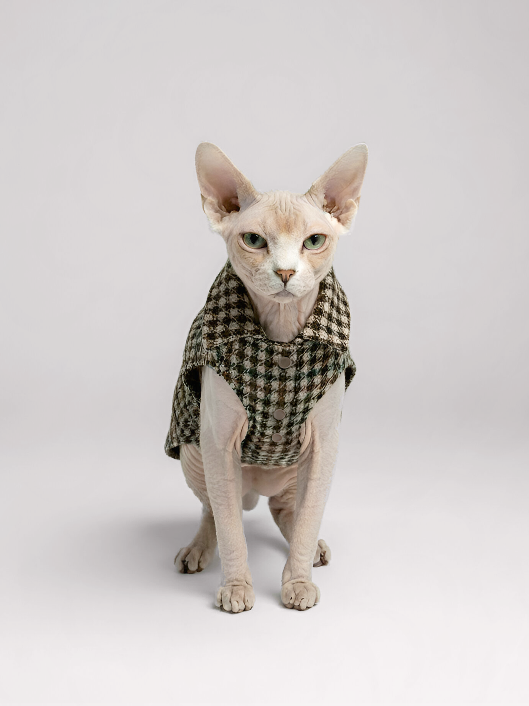 Vintage Wool Sphynx Cat Vest