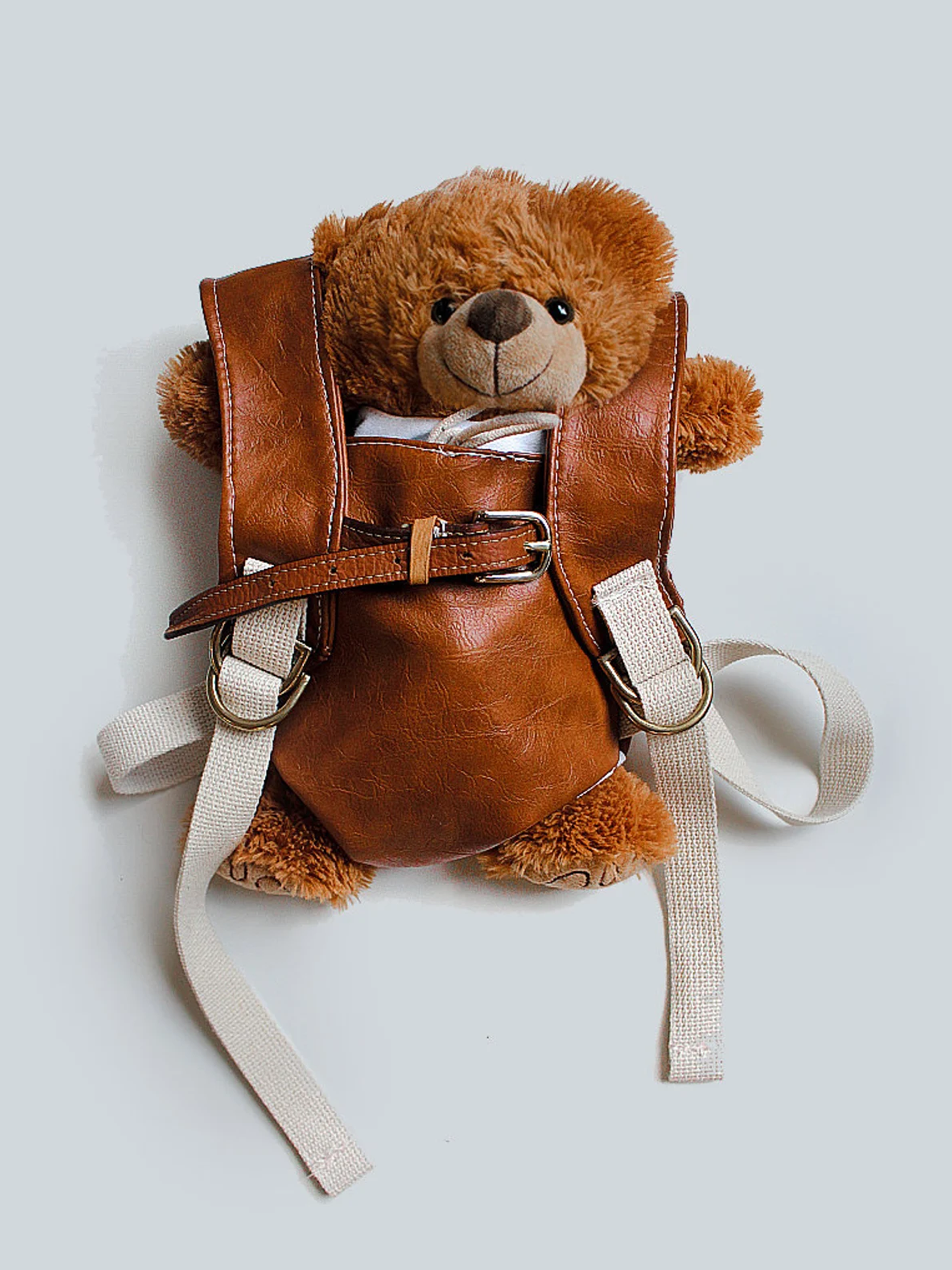 Soft Companion Carrier
